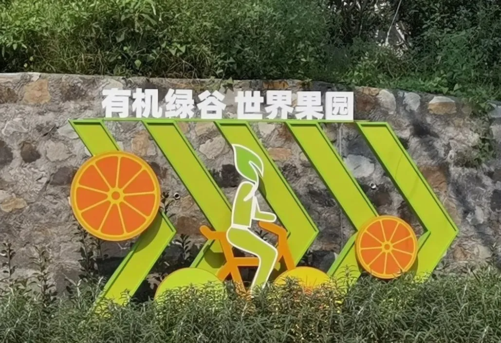 西南特色水果冷链物流贸易港项目快报