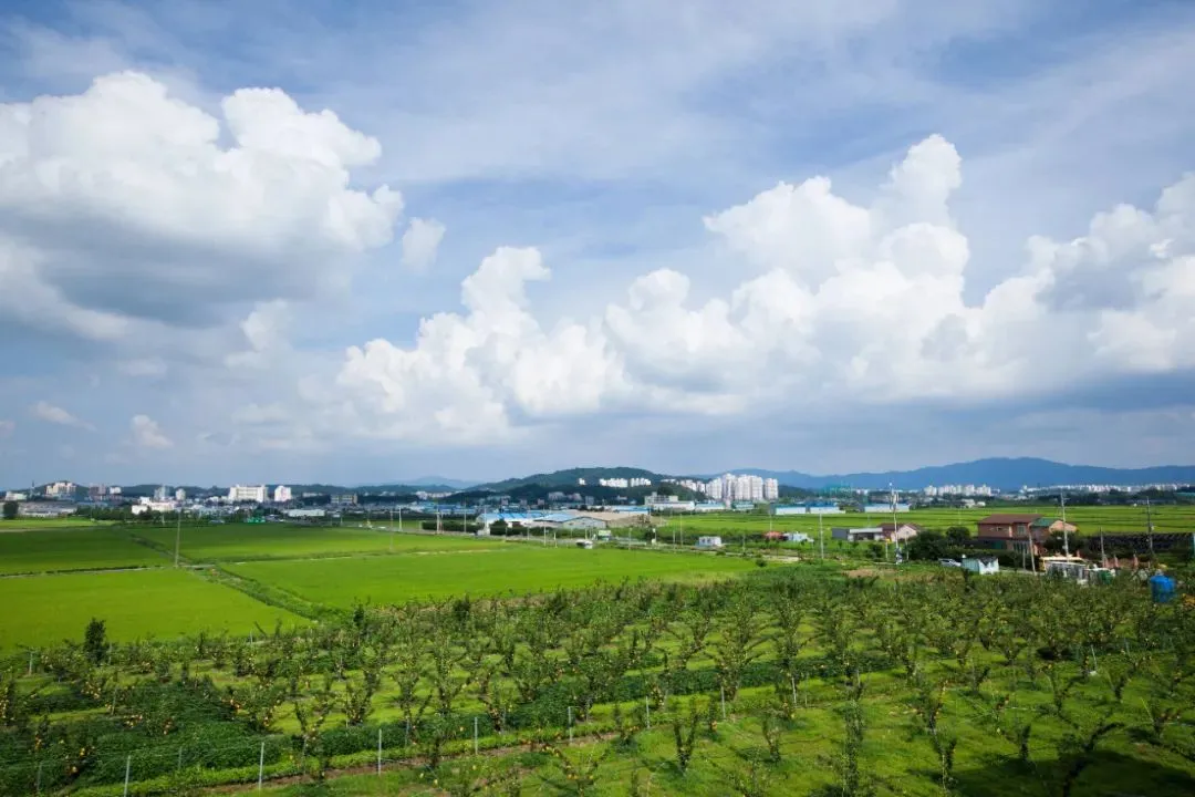 联雄供应链谈区域物流建设的重要性
