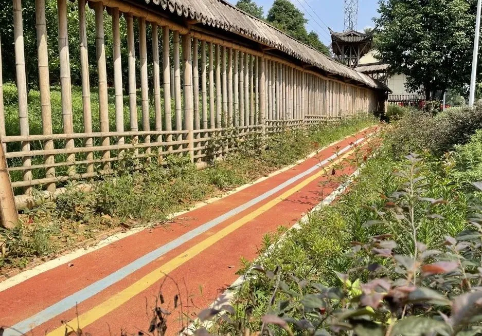 西南特色水果冷链物流贸易港项目快报