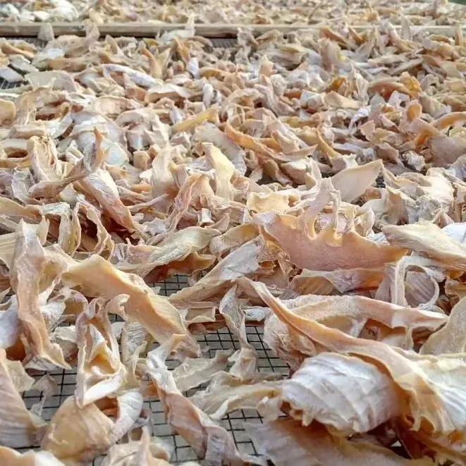 浙江农产品收购开始啦