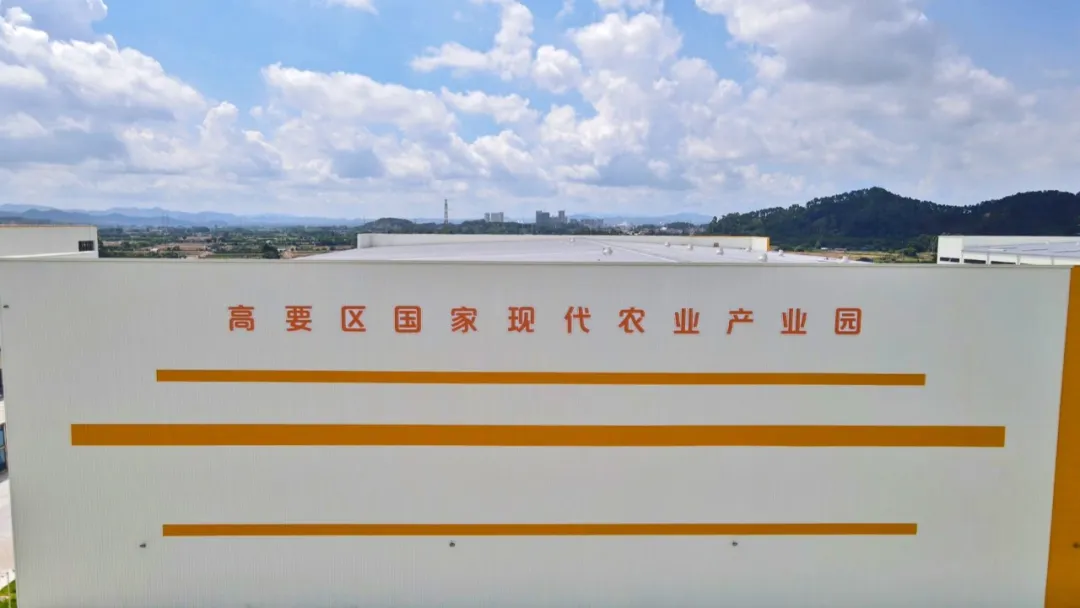 新协航（肇庆）智慧物流基地落成投产
