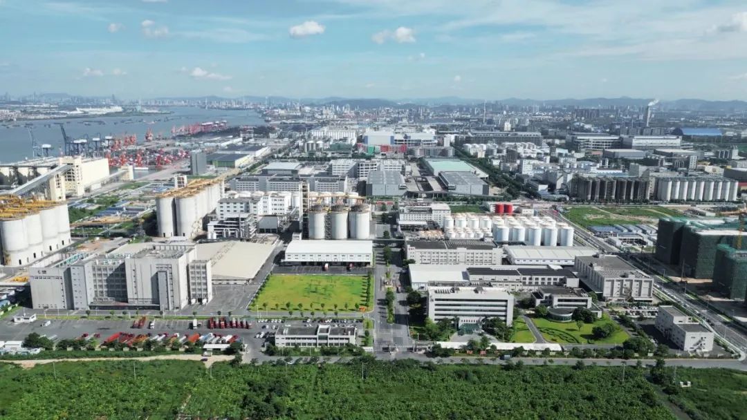 万亿零食市场“开卷”,冷链物流网探东莞供应链