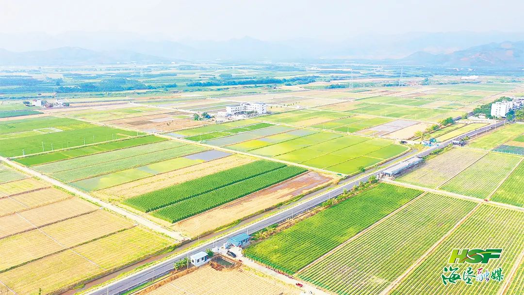 海垦集团:建好“菜园子”充盈“菜篮子”