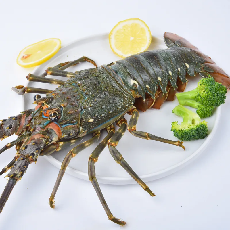冷冻链精选生鲜食材馆