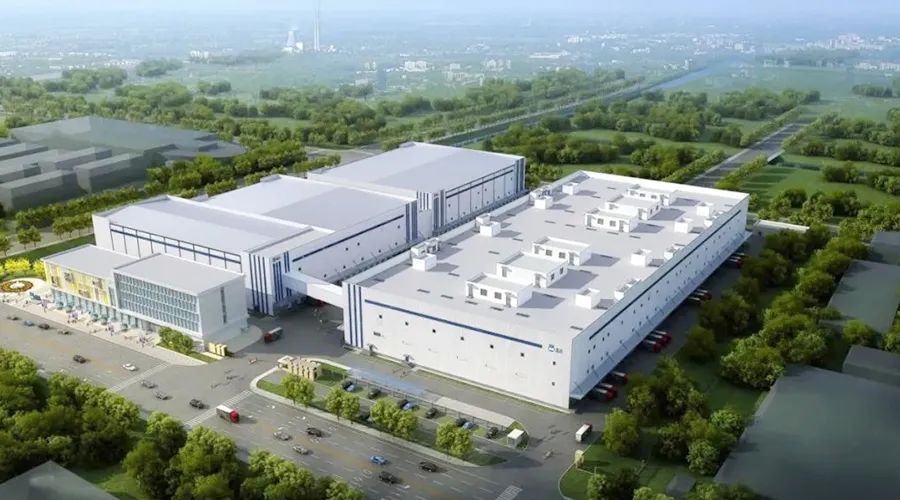 用辣椒与大蒜两个单品盘活县级800多亩的冷链园区