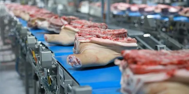 肉制品加工专业术语解读