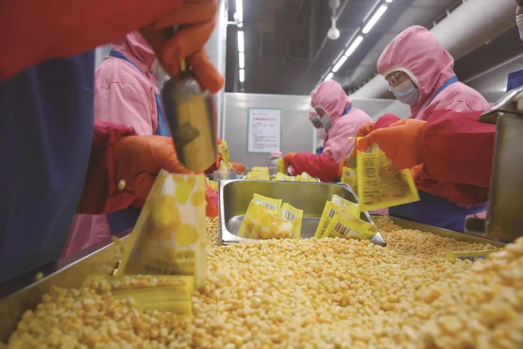 公主岭市推进农产品精深加工“锻链升级”