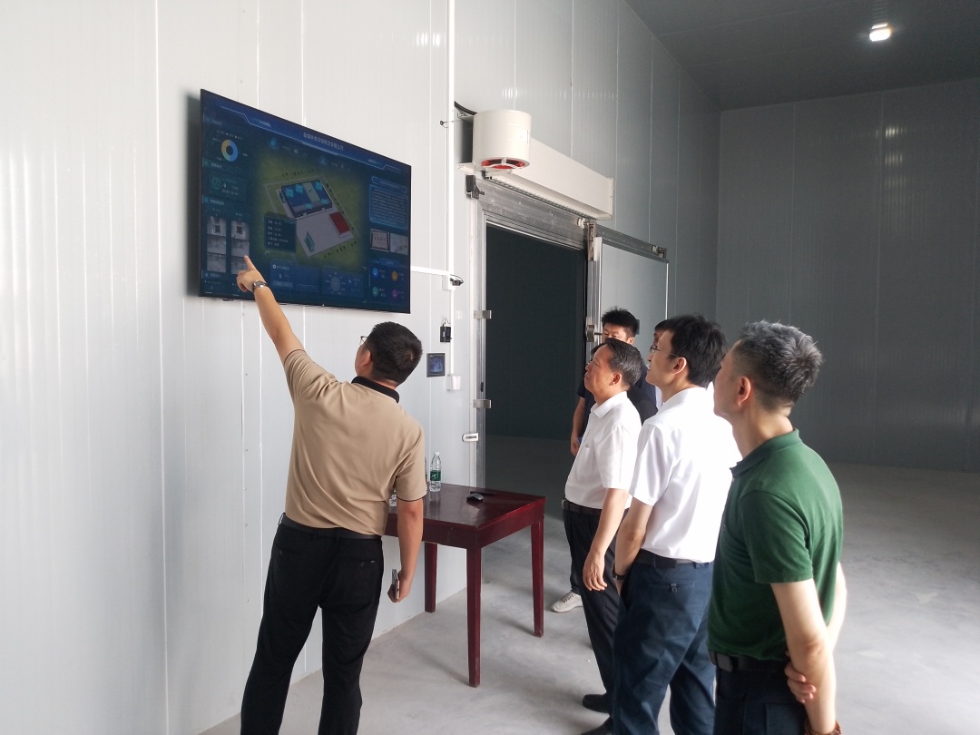 聚焦冷链物流建设 中国电信让农产品一路领“鲜”