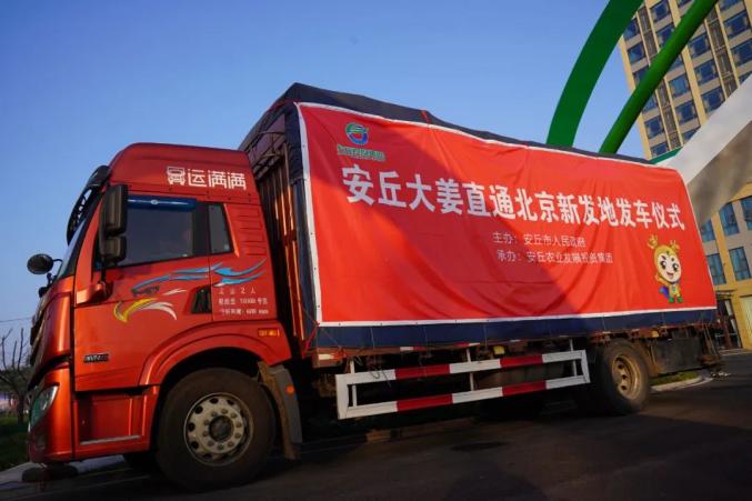安丘20吨生态大姜21日抵京