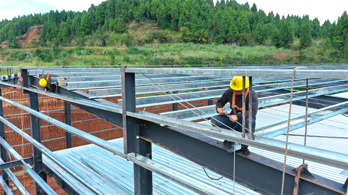 安居区聚贤镇蔬菜园区冷链仓储物流中心冲刺竣工