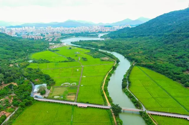 中国国际农产品交易会将首次在广州举办