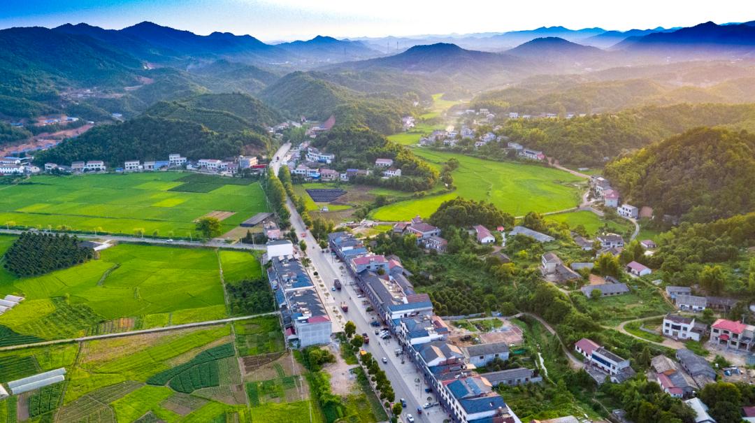 浏阳这5个村集体携手成立公司,把农特产卖到了北京