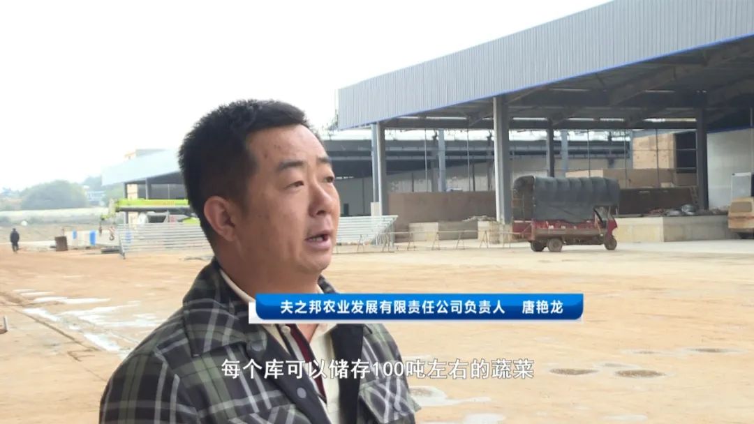 深耕农产品冷链物流 畅通“最后一公里”