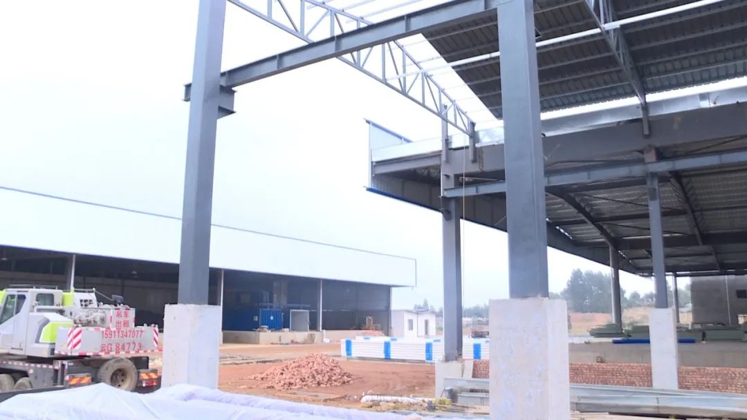 深耕农产品冷链物流 畅通“最后一公里”