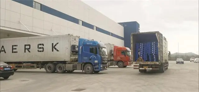威海保税冷链仓储物流智慧化建设项目正式启用