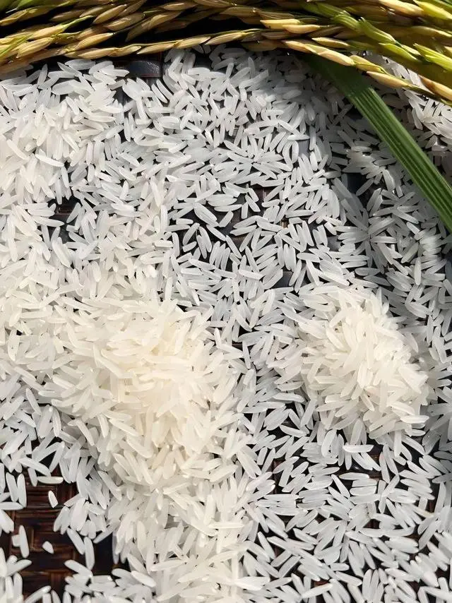 云浮罗定市首届十大名特优农产品评选结果出炉
