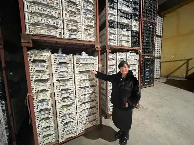 水果女王的秘密:冷库1000吨库存,只为春节市场的闪耀