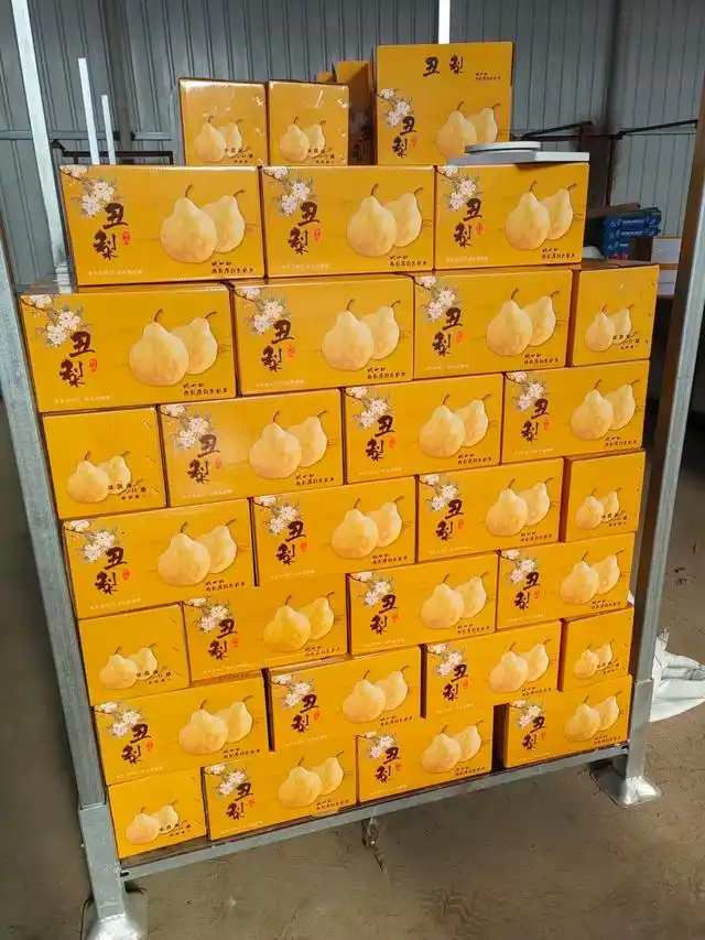 水果女王的秘密:冷库1000吨库存,只为春节市场的闪耀