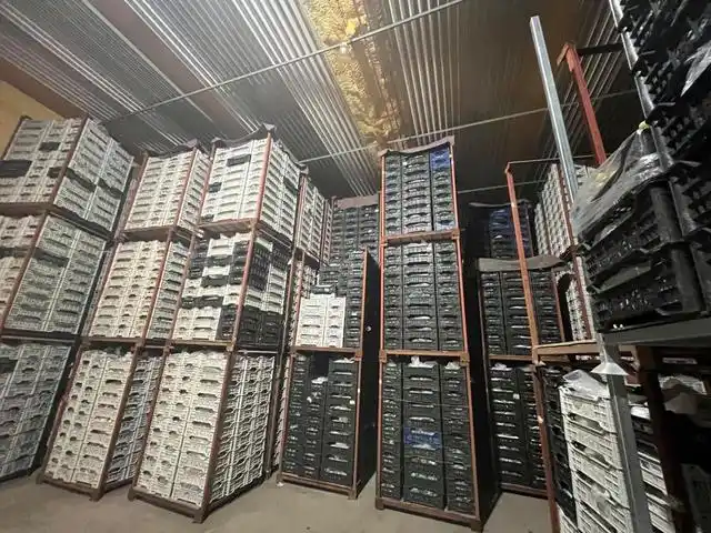 水果女王的秘密:冷库1000吨库存,只为春节市场的闪耀