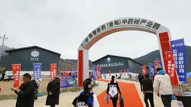 云南白药数智云药(鲁甸)中药材产业园启幕打造滇西北中药材产业新引擎