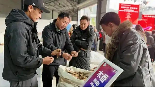 云南白药数智云药(鲁甸)中药材产业园启幕打造滇西北中药材产业新引擎