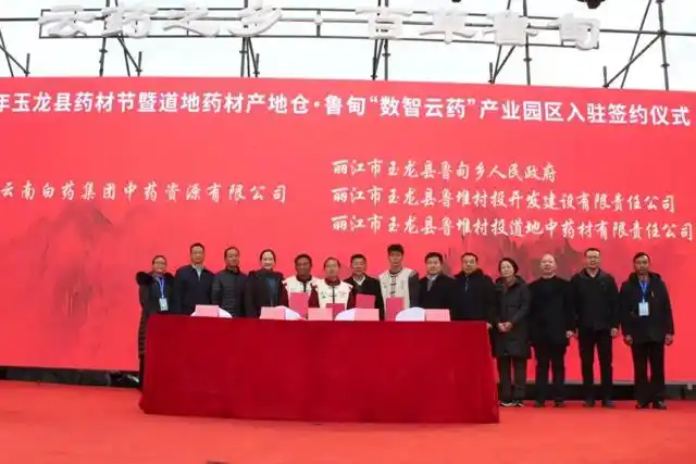 云南白药数智云药(鲁甸)中药材产业园启幕打造滇西北中药材产业新引擎