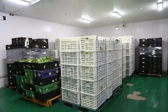 当餐食材冷冻链配送分门别类用冷链守护新鲜