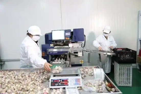 当餐食材冷冻链配送分门别类用冷链守护新鲜